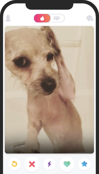 Dog in an iphone